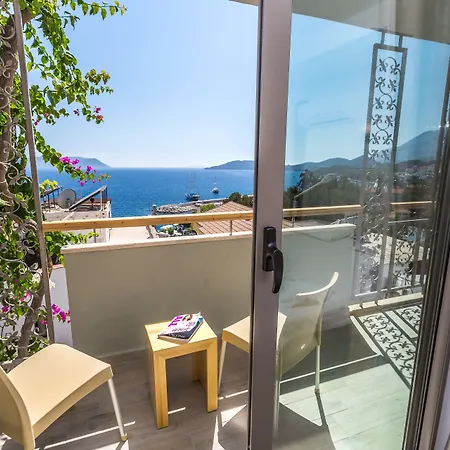 黛菲酒店 酒店 卡斯