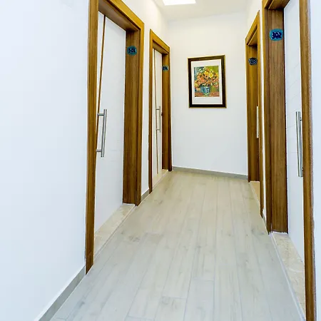 酒店 黛菲酒店 3*