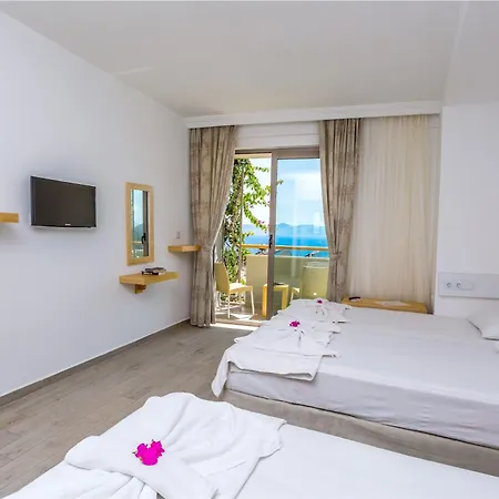 黛菲酒店 酒店 3*